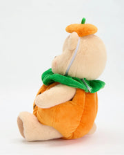 Hugsy Pumpkin Outfit